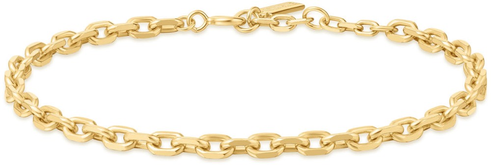 Ania Haie AH B062-03G Voque Maven Dames Armband - Schakelarmband