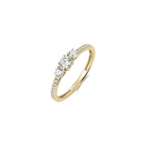 vgr066-56-bdae497b24c46344d6949dce28c9a501.jpg